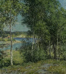 Eine Familie von Birken, 1907