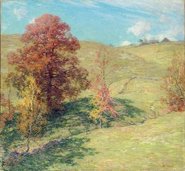 Die Rote Eiche