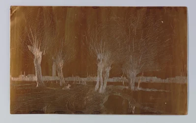 Weiden am Graben bei der Binckhorstlaan in Den Haag