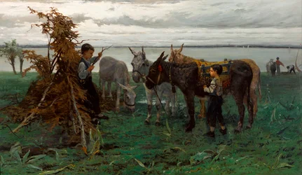 Jungen, die Esel hüten