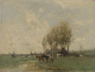 Wiese mit Kühen