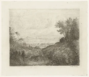 Hügellandschaft mit Weg ins Tal