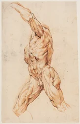 Anatomische Studie (écorchés). Gehender gehäuteter Mann nach links gewandt
