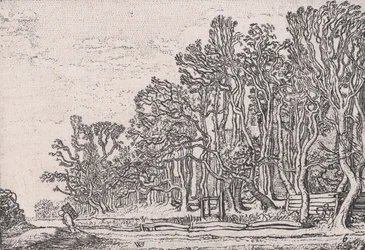 Zwei Plankenhecken, aus Verscheyden Landtschapjes Verschiedene kleine Landschaften, Platte 6,..., ca. 1616.