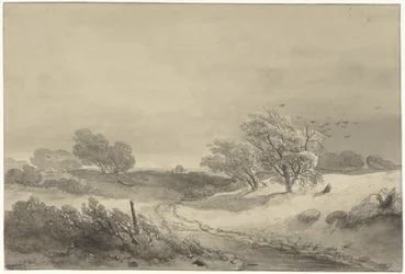 Dünenlandschaft bei trübem Wetter