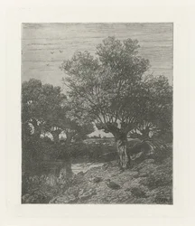 Enten an einem Graben