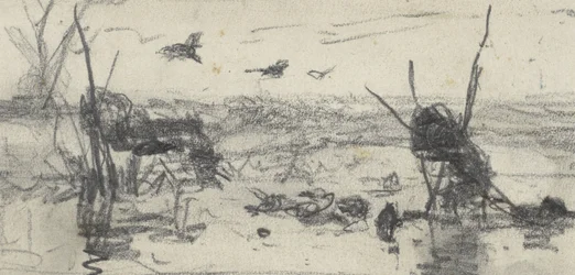 Entenkojen in einem Gewässer