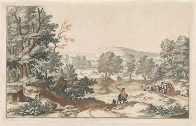 Waldlandschaft mit einem Weg