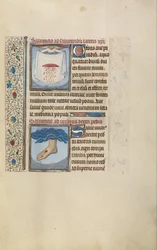 Ein Engel hält ein Tuch mit Christi blutender Wunde; Christi rechter Fuß mit Wunde