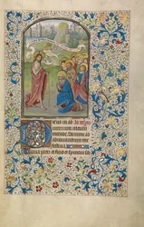 Die apostolische Mission