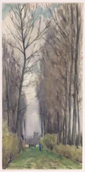 Allee mit hohen Bäumen