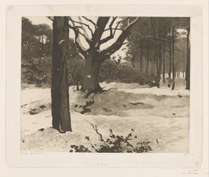 Verschneite Waldlandschaft in Ede