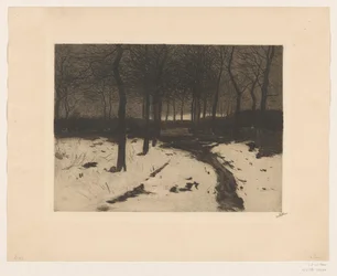 Waldweg in Ewijkshoeve