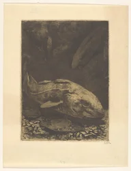 Fische und Wasserpflanzen