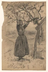 Frau hängt die Wäsche in einen Baum, nach rechts