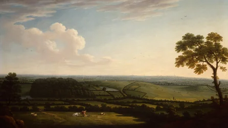 Weitläufige bewaldete Landschaft mit Blick auf eine Stadt