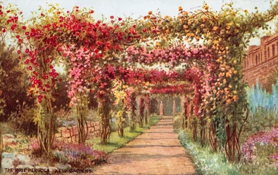 Die Rosenpergola, Kew Gardens