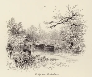 Brücke bei Brockenhurst