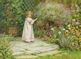 Mein Garten