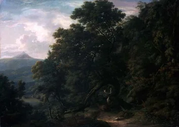 Ansicht von Powerscourt Demesne