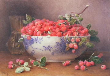 Stillleben mit Himbeeren in einer blau-weißen Schale