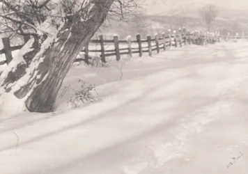 Pfad im Schnee