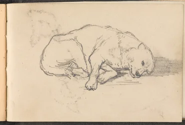 Skizze eines schlafenden Hundes, ca. 1879
