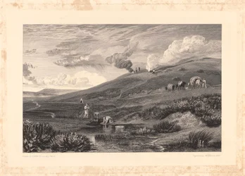 Dartmoor; Quelle des Tamar und des Torridge