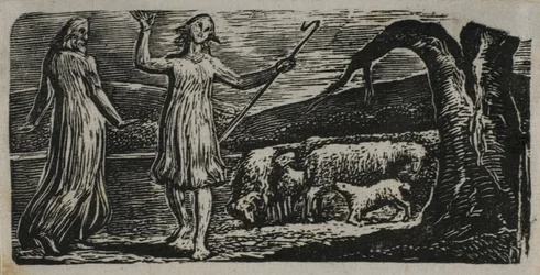 Colinet geht traurig: Gespaltener Stamm rechts, aus Die Hirtengedichte von Virgil