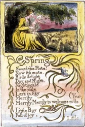 Frühling: Tafel 22 aus 