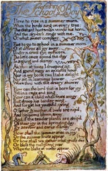Der Schuljunge: Platte 53 aus Songs of Innocence and of Experience (Kopie AA)