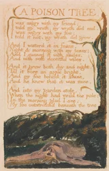 Lieder der Unschuld und der Erfahrung, Platte 41, "Ein Giftbaum" (Bentley 49)