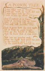 Lieder der Unschuld und der Erfahrung, Tafel 41, Ein Giftbaum (Bentley 49)