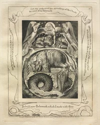 Das Buch Hiob: Pl. 15, Siehe nun Behemoth, den ich mit dir gemacht habe