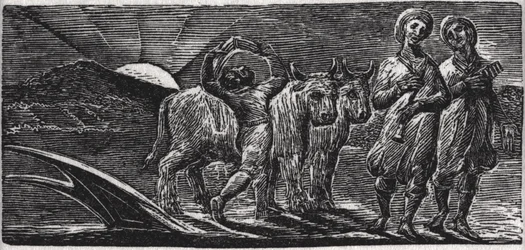 Mit Liedern kehren die fröhlichen Knechte vom Pflug zurück, Illustration aus Dr. Thorntons 