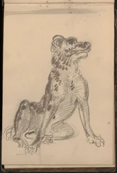 Porträt eines Hundes