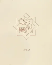 Stint, 1878