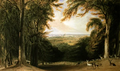 Waldlandschaft, Windsor