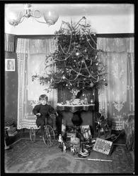 Seymour-Junge posiert sitzend auf Dreirad neben Weihnachtsbaum im Wohnzimmer, Weihnachten 1912