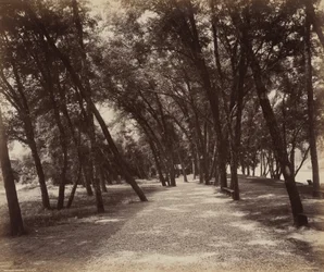 Picknickplatz