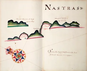 Nastras, südamerikanische Pazifikküste