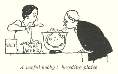 Ein nützliches Hobby, Scholle züchten (Lithografie)