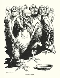 Ritterfalken