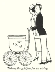 Den Goldfisch an die frische Luft bringen