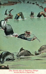 Die sanfte Kunst des Fangens - Schweinswalstechen in Pegwell Bay