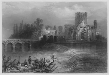 Holy-Cross-Abtei, am Suir (Stich)