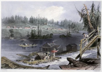 Holztransport zu „les Chats“ - in „Canadian scenery illustrated“ von Bartlett W. H.