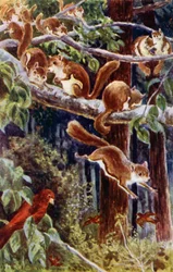 "Wie herrlich war es, ihnen beim Herumtollen zuzusehen!"