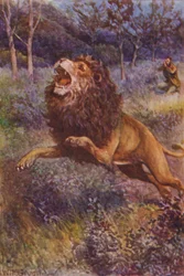 Illustration für The Gorilla Hunters von R. M. Ballantyne (Farblithografie)