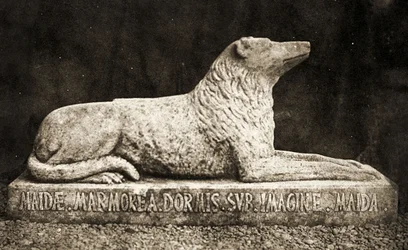Statue von Maida, berichtet als Lieblingshund von Sir Walter Scott